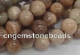 CMS03 15.5 inches 10mm round moonstone gemstone beads wholesale