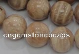 CMS05 15.5 inches 20mm round moonstone gemstone beads wholesale