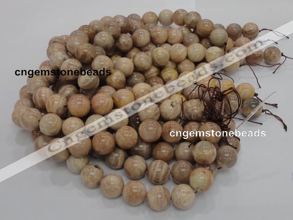 CMS05 15.5 inches 20mm round moonstone gemstone beads wholesale