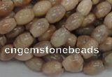 CMS06 15.5 inches 6*10mm rice moonstone gemstone beads wholesale