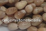 CMS09 15.5 inches 8*12mm teardrop moonstone gemstone beads wholesale