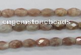 CMS100 15.5 inches 6*9mm faceted rice moonstone gemstone beads