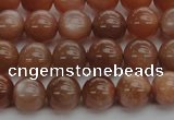 CMS1002 15.5 inches 8mm round AA grade moonstone gemstone beads