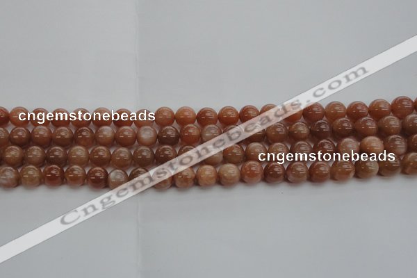 CMS1002 15.5 inches 8mm round AA grade moonstone gemstone beads