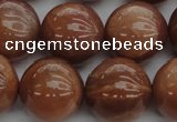 CMS1006 15.5 inches 16mm round AA grade moonstone gemstone beads