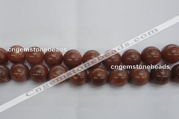 CMS1008 15.5 inches 20mm round AA grade moonstone gemstone beads