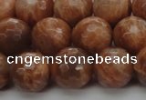 CMS1015 15.5 inches 12mm faceted round AA grade moonstone beads