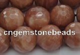 CMS1016 15.5 inches 14mm faceted round AA grade moonstone beads