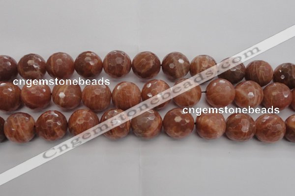 CMS1017 15.5 inches 16mm faceted round AA grade moonstone beads