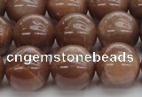 CMS1025 15.5 inches 14mm round AA grade moonstone gemstone beads