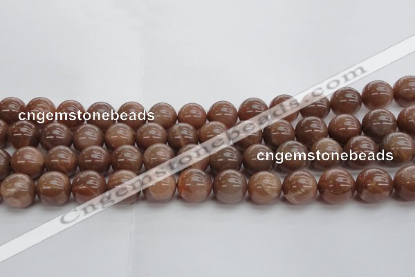 CMS1025 15.5 inches 14mm round AA grade moonstone gemstone beads