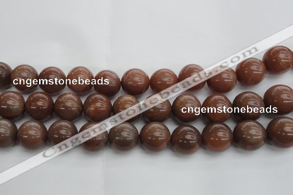 CMS1026 15.5 inches 16mm round AA grade moonstone gemstone beads