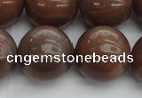 CMS1027 15.5 inches 18mm round AA grade moonstone gemstone beads