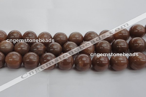 CMS1028 15.5 inches 20mm round AA grade moonstone gemstone beads