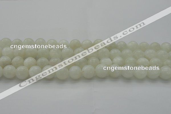 CMS1031 15.5 inches 6mm round A grade white moonstone beads