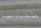 CMS1050 15.5 inches 4mm round grey moonstone beads wholesale