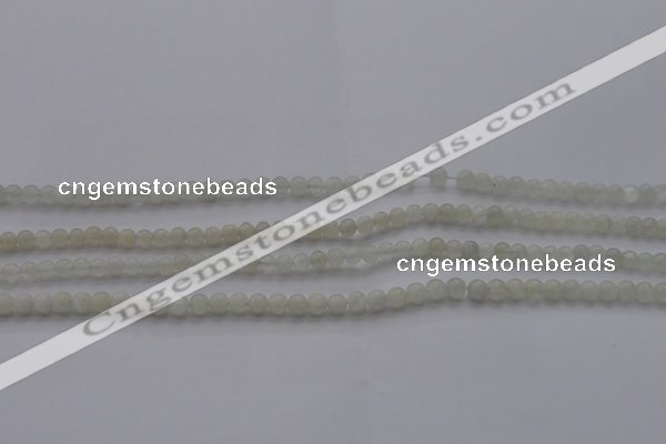 CMS1050 15.5 inches 4mm round grey moonstone beads wholesale