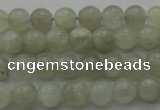 CMS1051 15.5 inches 6mm round grey moonstone beads wholesale