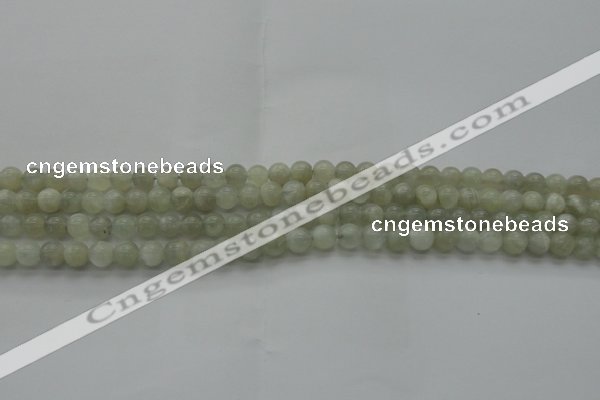 CMS1051 15.5 inches 6mm round grey moonstone beads wholesale