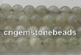 CMS1057 15.5 inches 6mm round grey moonstone beads wholesale