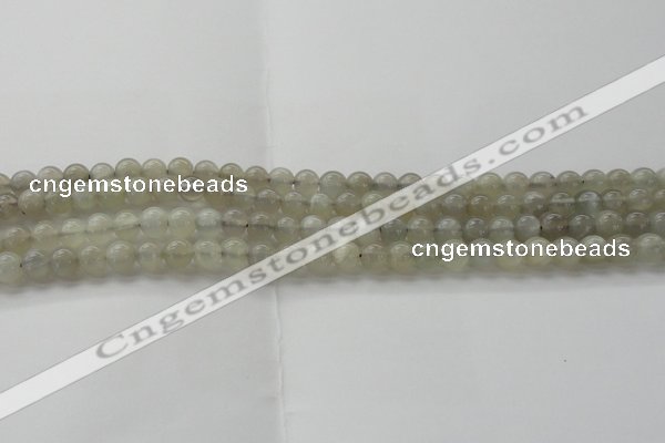 CMS1057 15.5 inches 6mm round grey moonstone beads wholesale