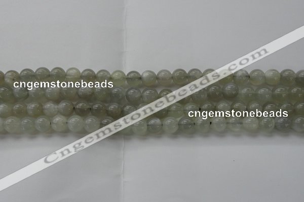 CMS1058 15.5 inches 8mm round grey moonstone beads wholesale