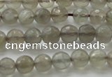CMS1060 15.5 inches 6mm faceted round grey moonstone beads wholesale