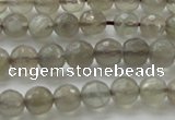 CMS1060 15.5 inches 6mm faceted round grey moonstone beads wholesale