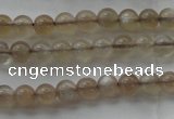 CMS1063 15.5 inches 4mm round grey moonstone beads wholesale