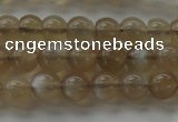 CMS1064 15.5 inches 6mm round grey moonstone beads wholesale