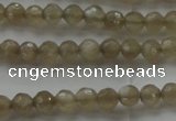 CMS1066 15.5 inches 4mm faceted round grey moonstone beads wholesale