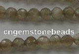 CMS1067 15.5 inches 6mm faceted round grey moonstone beads wholesale