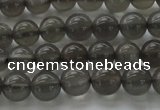 CMS1071 15.5 inches 6mm round grey moonstone beads wholesale