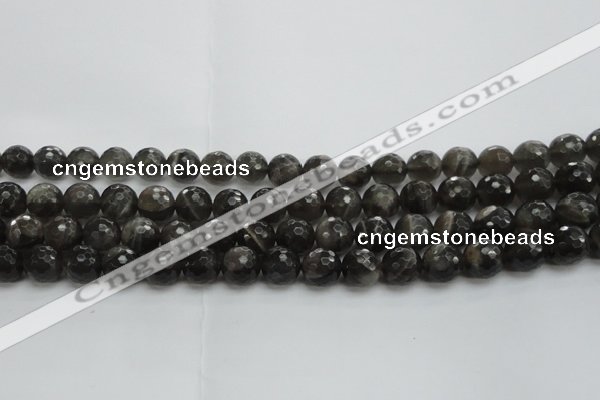 CMS1077 15.5 inches 10mm faceted round grey moonstone beads wholesale