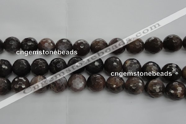 CMS1079 15.5 inches 14mm faceted round grey moonstone beads wholesale