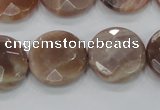 CMS113 15.5 inches 20mm faceted coin moonstone gemstone beads