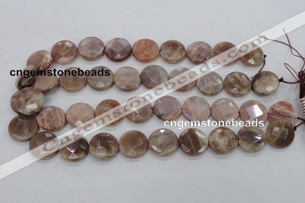 CMS113 15.5 inches 20mm faceted coin moonstone gemstone beads