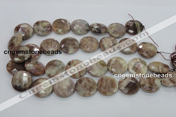 CMS114 15.5 inches 25mm faceted coin moonstone gemstone beads