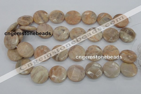 CMS116 15.5 inches 25mm faceted coin moonstone gemstone beads