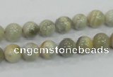 CMS120 15.5 inches 8mm round moonstone gemstone beads wholesale