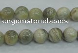 CMS121 15.5 inches 10mm round moonstone gemstone beads wholesale