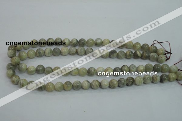 CMS121 15.5 inches 10mm round moonstone gemstone beads wholesale