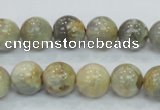 CMS122 15.5 inches 12mm round moonstone gemstone beads wholesale