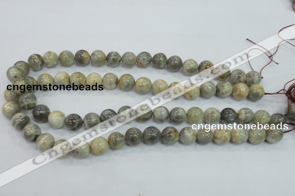 CMS122 15.5 inches 12mm round moonstone gemstone beads wholesale