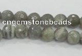 CMS124 15.5 inches 10mm faceted round moonstone gemstone beads