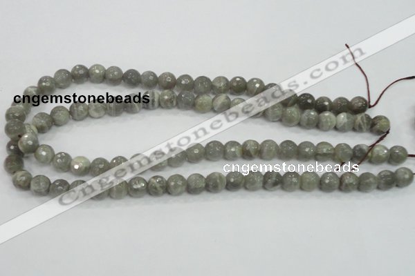 CMS124 15.5 inches 10mm faceted round moonstone gemstone beads