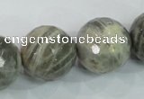 CMS127 15.5 inches 20mm faceted round moonstone gemstone beads