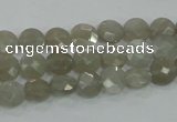 CMS129 15.5 inches 8mm faceted coin moonstone gemstone beads