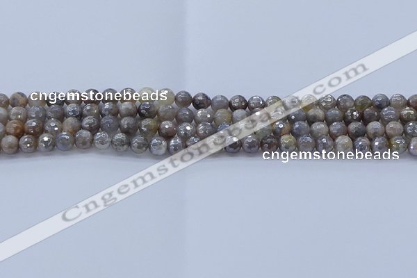 CMS1310 15.5 inches 4mm faceted round AB-color grey moonstone beads