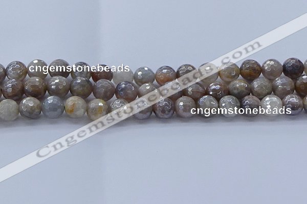 CMS1313 15.5 inches 10mm faceted round AB-color grey moonstone beads